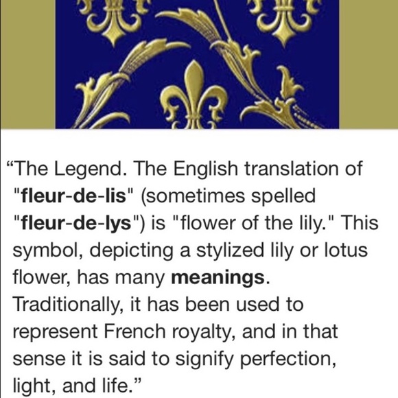 Onyx & red tiger eye fleur de lis charm necklace - Picture 5 of 10